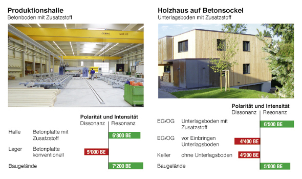 files/content/ratgeber/grenzwissenschaften/Produktionshalle_und_Holzhaus.jpg