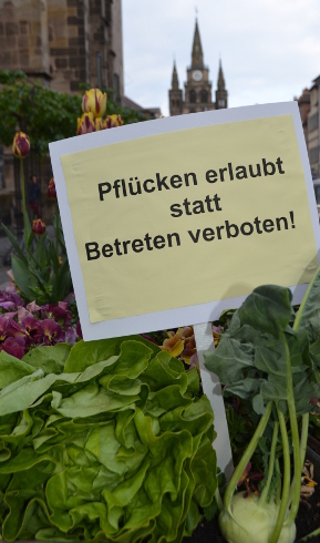 Urban Farming box