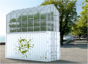 Urban Farming box